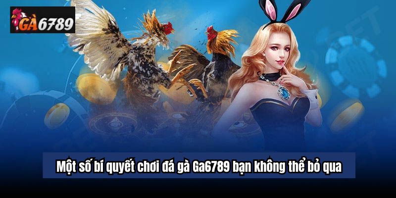 Những lợi ích khi chơi đá gà Ga6789